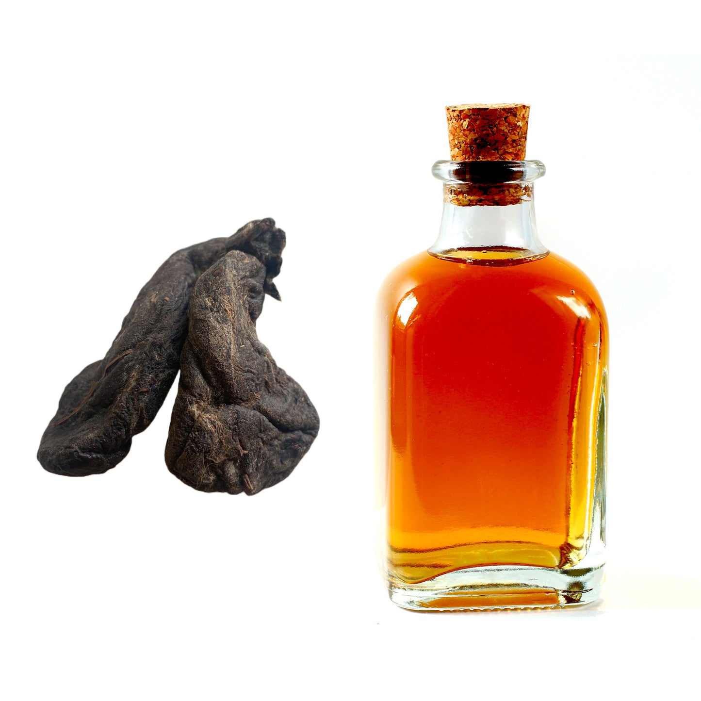 Castoreum Musk Tincture 20% Concentration