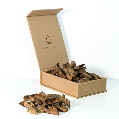 Hainan Oud Chips - Double Super