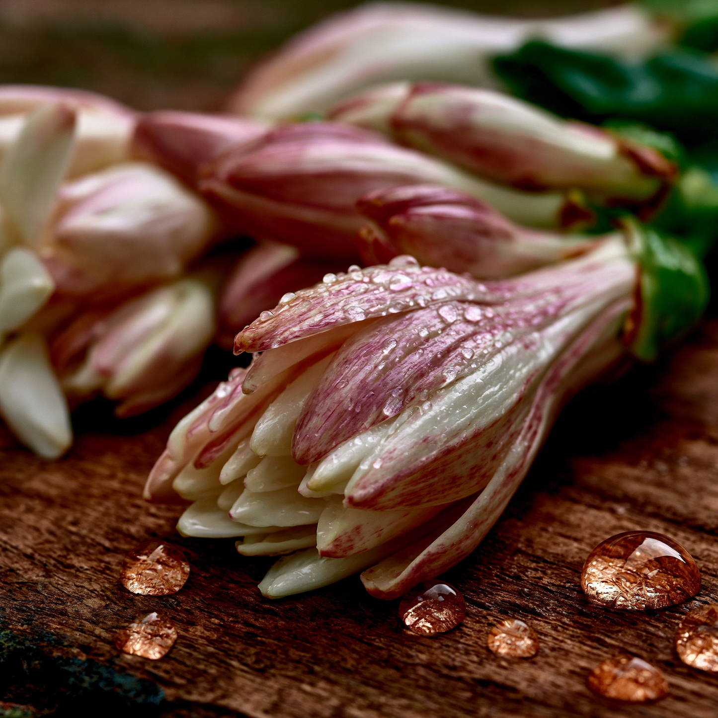 Methyl Tuberate Pure - Lactonic Tuberose (Givaudan)