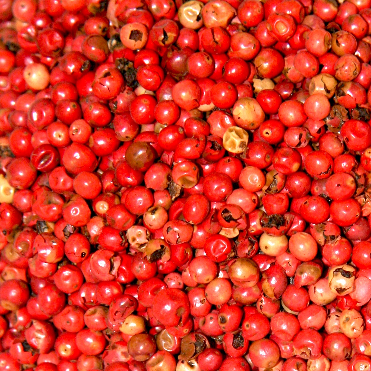 Pink peppercorn Essential Oil