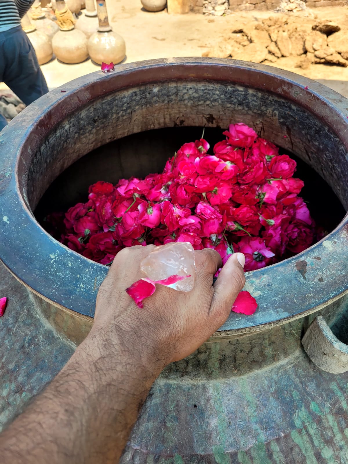 Indian Red Rose Oil Otto - Rosa Indica