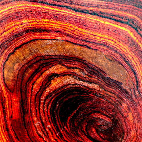 Rosewood Essential Oil - A Brazilian biodiversity product