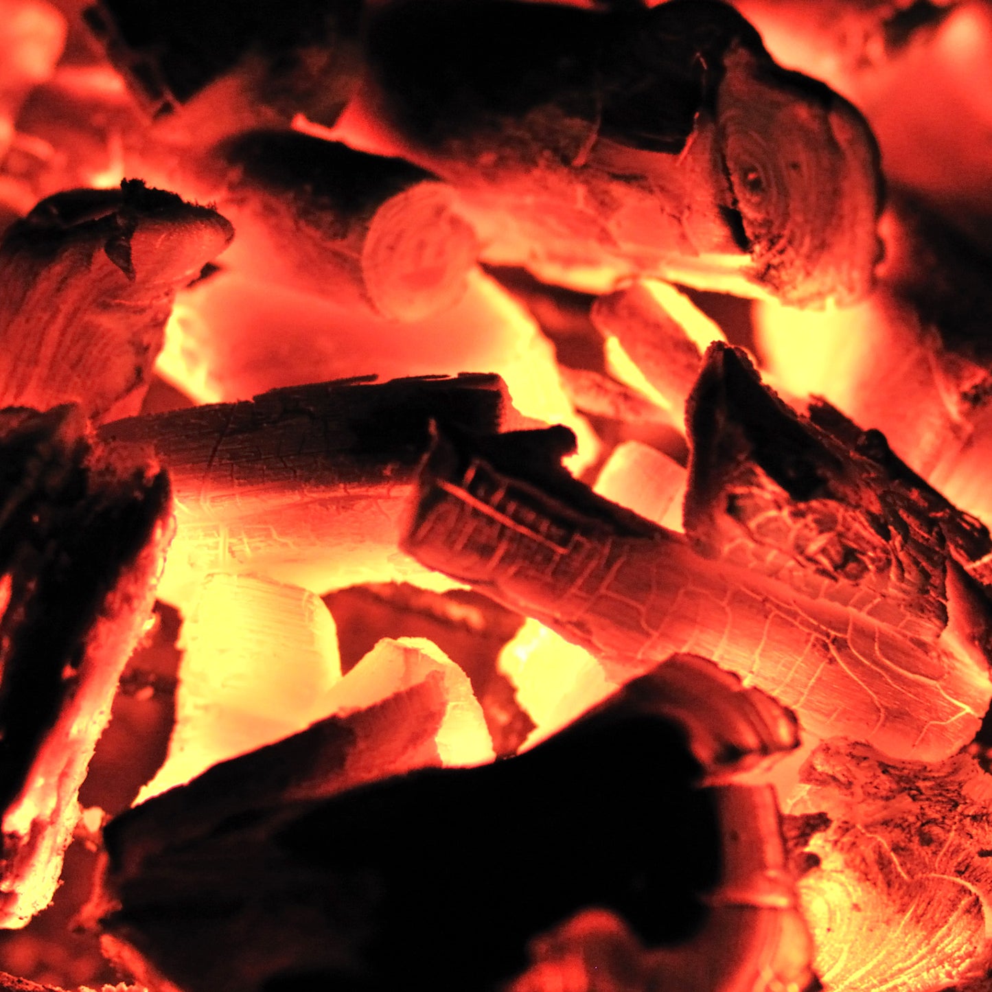 Choya Loban Essential Oil