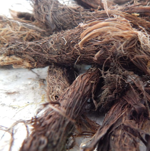 Spikenard Essential Oil