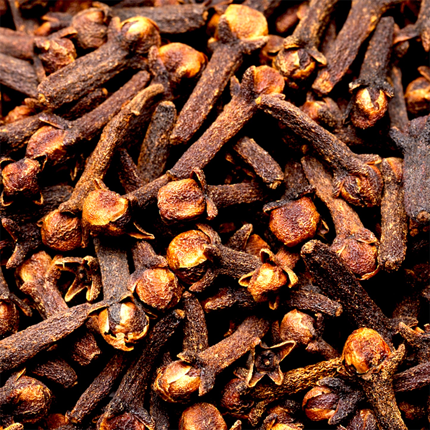 Clove Bud Essential Oil CO2