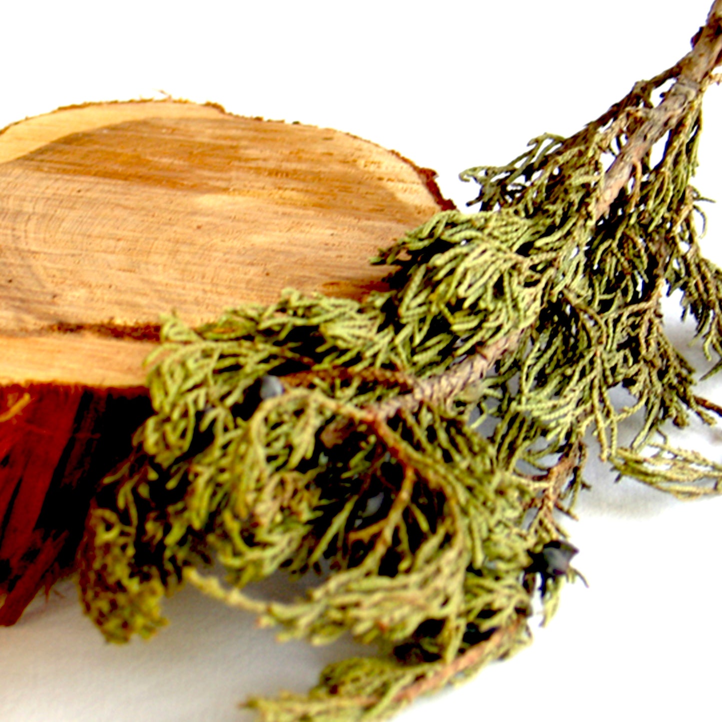 Wild Cedarwood Virginia Essential Oil
