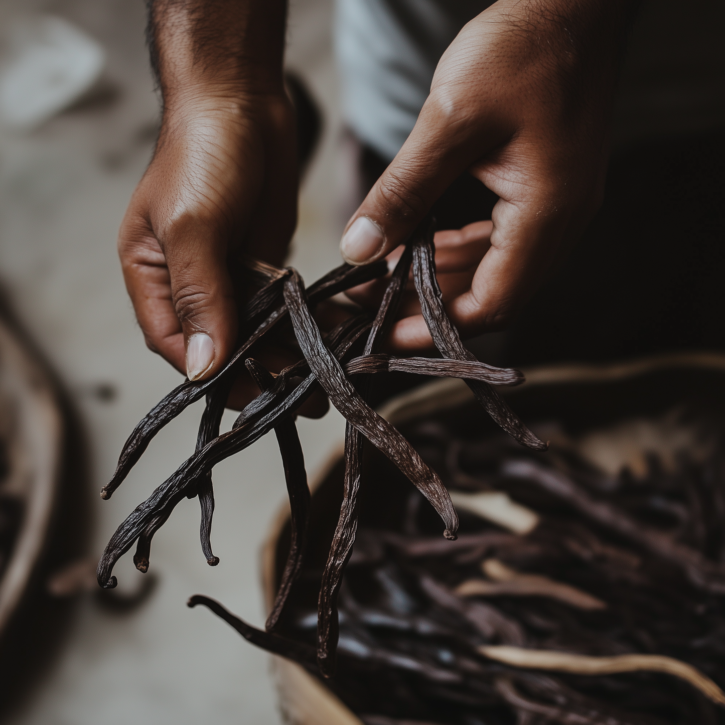 Vanilla Absolute Extra - 20 Fold