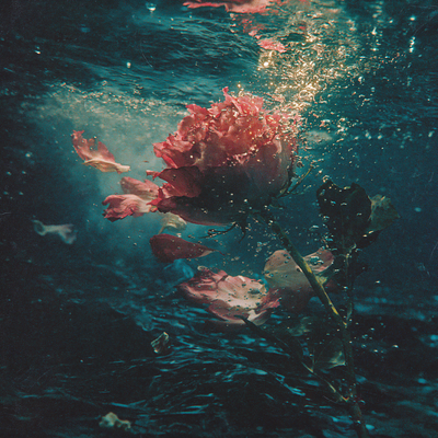 Aquaphore - Aquatic Floral