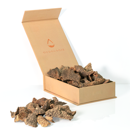 Cambodi Oud Chips - Double Super Agarwood