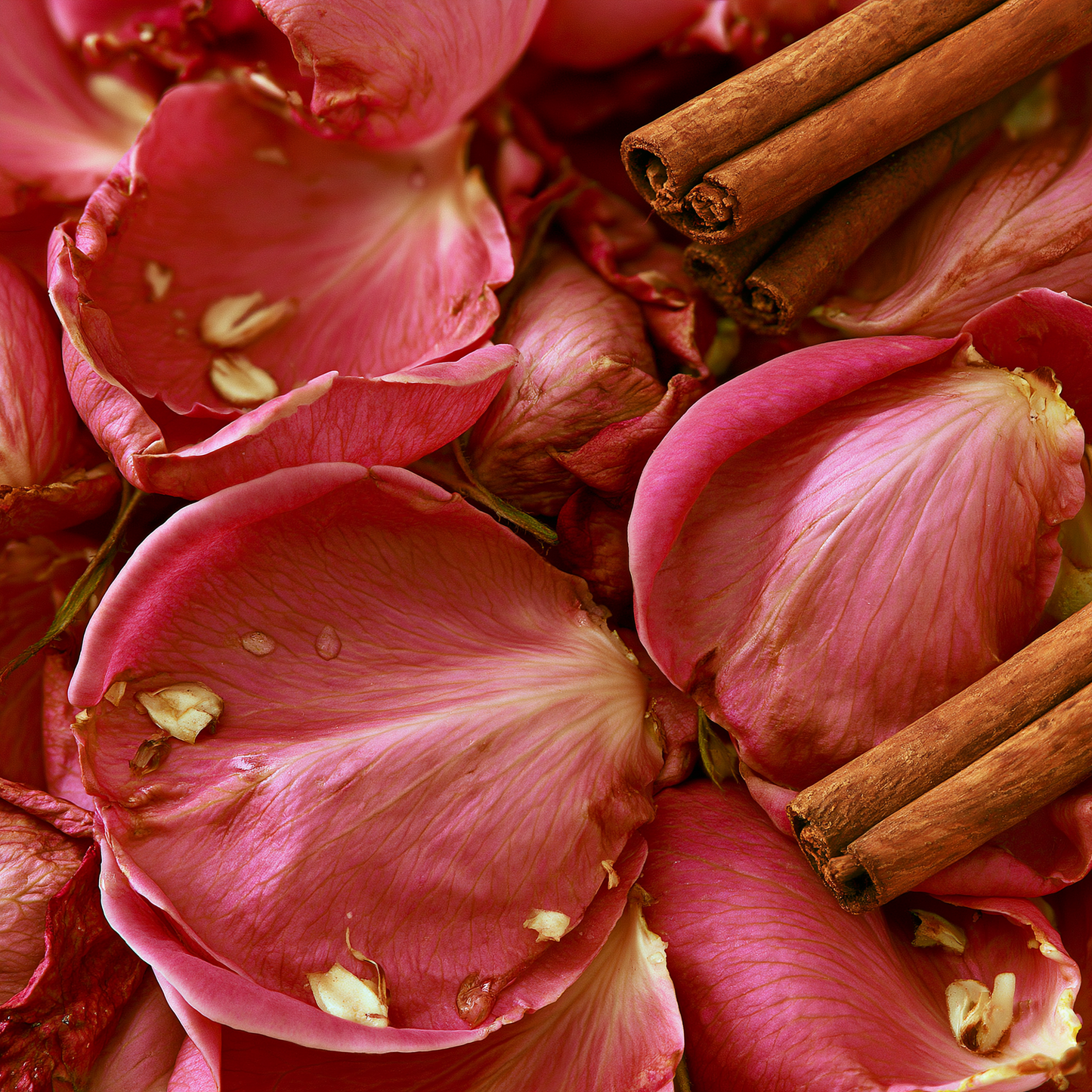 Citronile - Spicy Rose