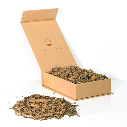 Hindi Oud Coin Agarwood Chips