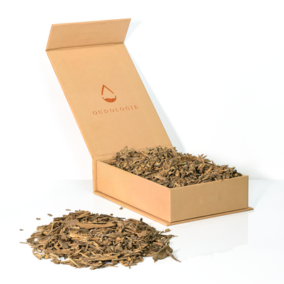 Hindi Oud Coin Agarwood Chips