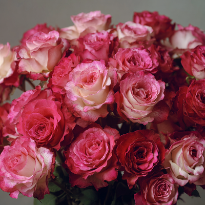 Dimethyl Benzyl Carbinyl Acetate (Rose)