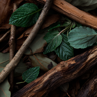 Mahagonate® - Symrise - Laurel leaf