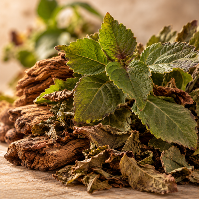 Patchouli Heart SFE – Earthwood Refined