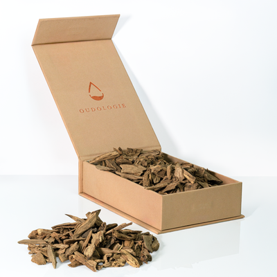 Philippines Digga Oud Chips - Double Super