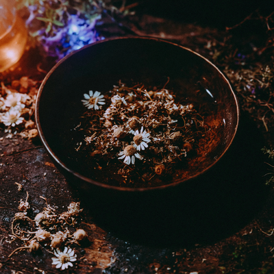 Roman Chamomile EO - Bulgaria A+ Grade