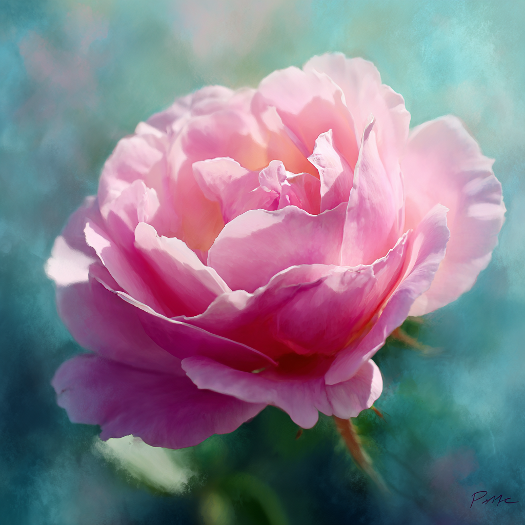 Rose Crystals (Symrise)