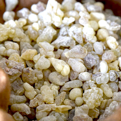 Frankincense Essential Oil (Somalia)