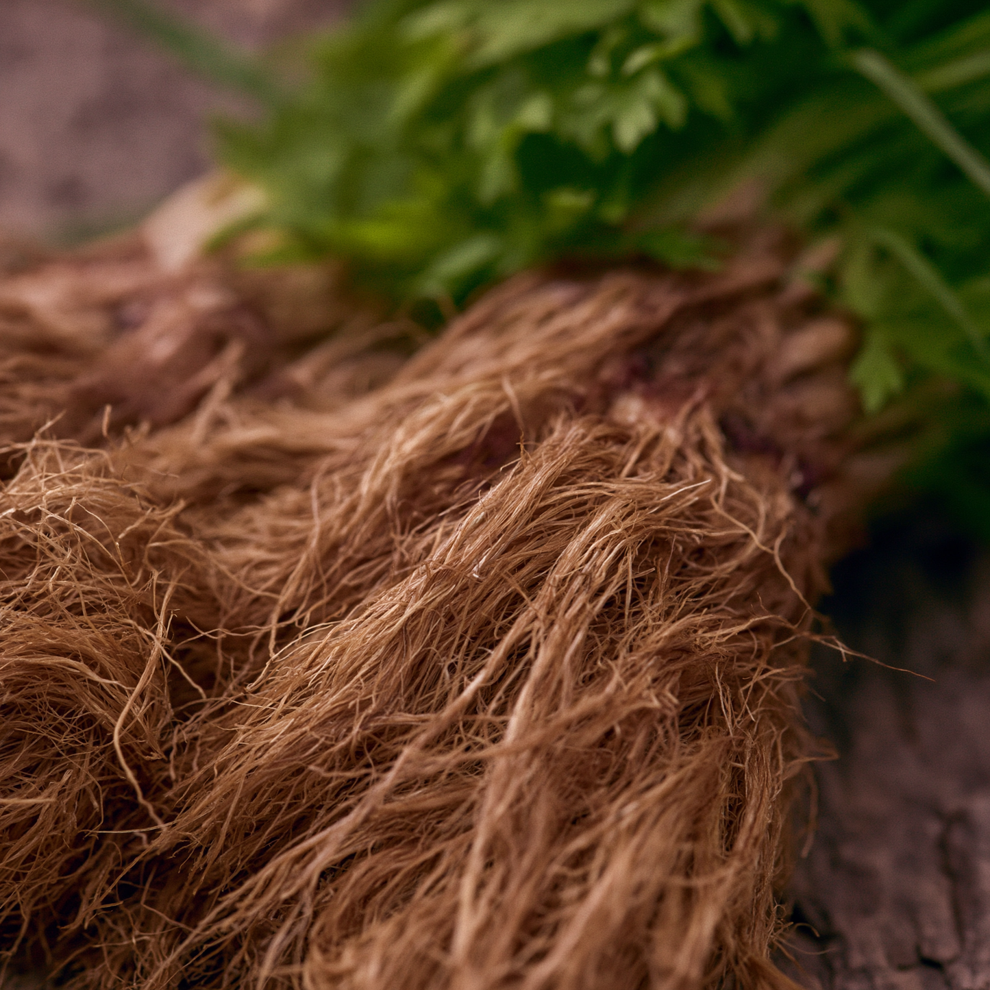 Vetiver Ultra Co2 - India