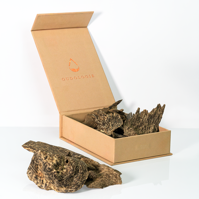 Wild Terrangganu Oud Chips Triple Super Agarwood