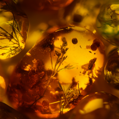 Labdanum Resinoid on Gurjun (Co-distillation)